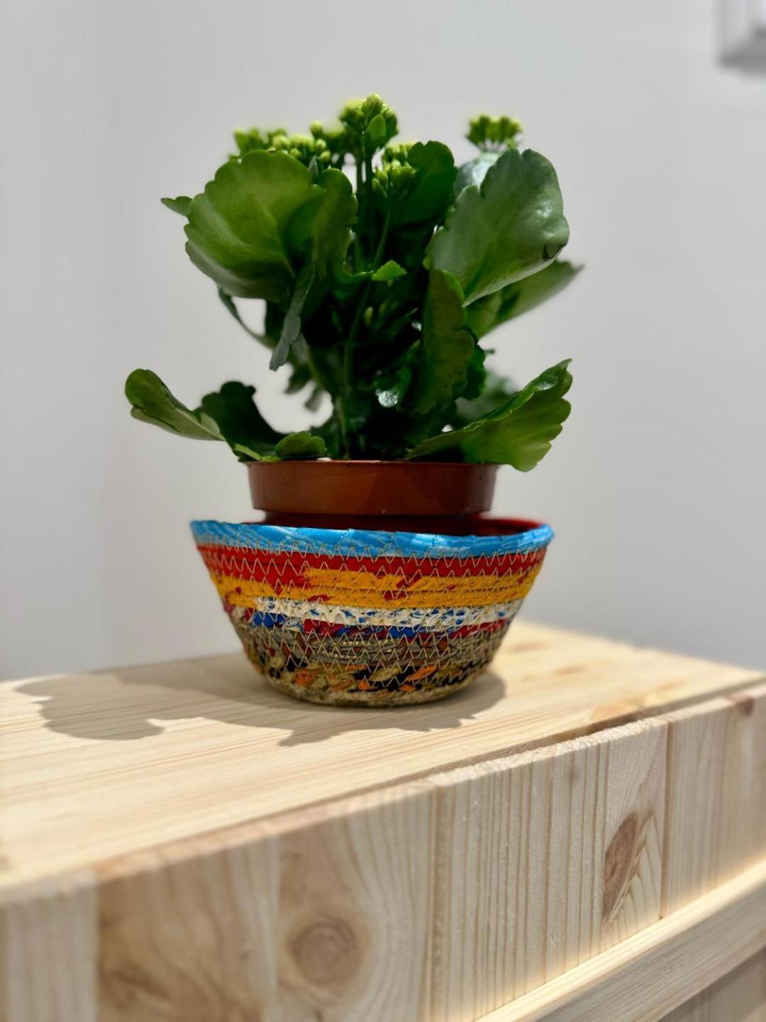 Rainbow Studio Flat- Monolocale Luminoso Milano Ngoại thất bức ảnh